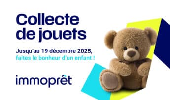 IP RS Collecte de jouet article V