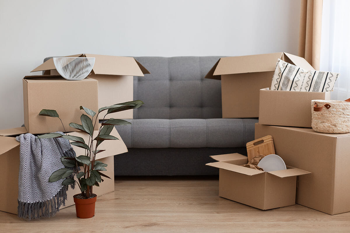 investissement locatif meuble