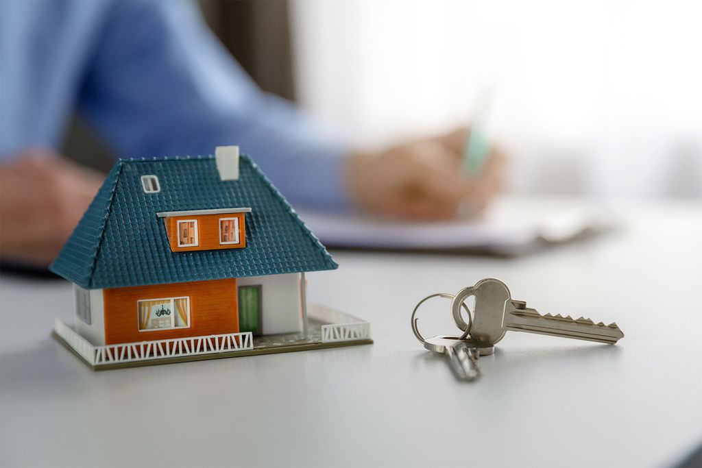 Budget 2025 pour l'immobilier : quelles nouveautés pour le secteur ?