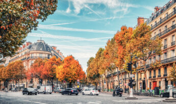 paris immeubles automne